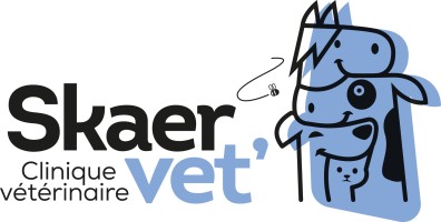 Clinique Vétérinaire Skaer vet'